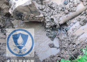 高碑店水管漏水检测公司5